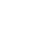 ii1998 icon