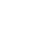 ii1998 icon
