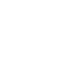 ii1998 icon