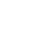 ii1998 icon
