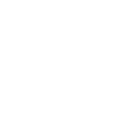 ii1998 icon